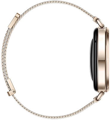 Часы Huawei Watch GT 6 41mm Gold Milano 400_400_800583