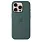 Чехол для iPhone 16 Pro Max Silicone Case with MagSafe - Lake Green 42_42_222471