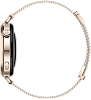 Часы Huawei Watch GT 6 41mm Gold Milano 100_100_800585