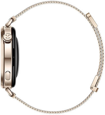 Часы Huawei Watch GT 6 41mm Gold Milano 400_400_800585