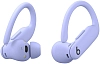 Наушники Beats Powerbeats Pro 2 Hyper Purple 100_100_864023