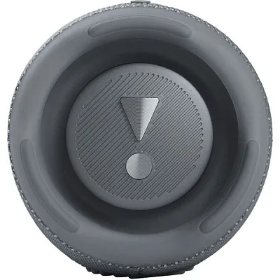 Портативная колонка JBL Charge 5 Gray 400_400_334321