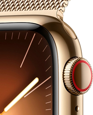 Часы Apple Watch Series 9 41mm Stainless Steel Case Milanese Loop Gold 400_400_640259