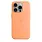 Чехол Apple iPhone 15 Pro Max Silicone Case with MagSafe -  Orange Sorbet 42_42_221909