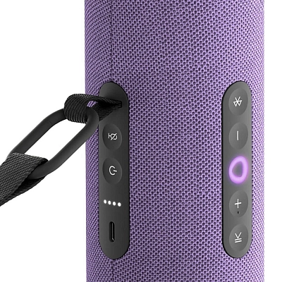 Яндекс Станция Стрит с Алисой (Фиолетовый) 400_400_642749