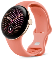 Часы Google Pixel Watch 5 41mm WiFi Champagne Gold/Canyon  500_191_847075