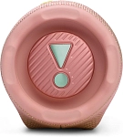 Портативная колонка JBL Charge 6 Pink 250_100_756413