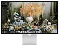 Монитор Apple Studio Display 5K 27 Nano-texture glass Tilt Adjustable Stand Silver (MYJK3) 250_100_747815