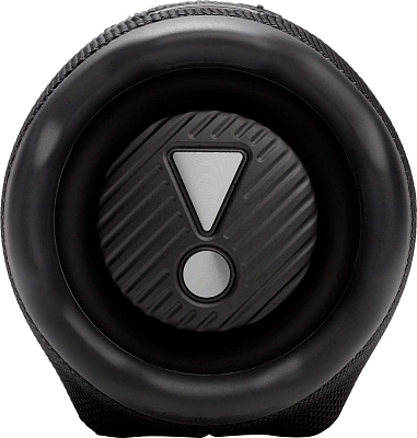 Портативная колонка JBL Charge 6 Black 400_400_590303