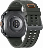 Часы Samsung Galaxy Watch Ultra 2 Titanium Silver 100_100_797715