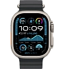 Часы Apple Watch Ultra 2 49mm Titanium Case GPS+Cellular Ocean Band Black 100_100_640770