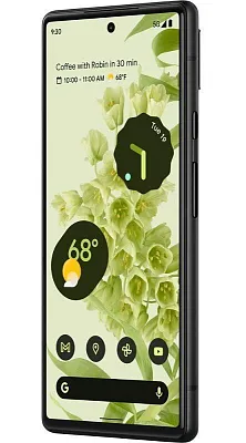 Смартфон Google Pixel 6 8/128GB Sorta Seafoam (JP) 400_400_140726