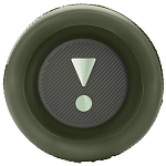 Портативная колонка JBL Flip 6 Squad 250_100_756615