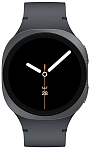 Часы Samsung Galaxy Watch 8 LTE 40mm Graphite 250_100_758931