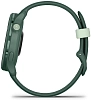 Часы Garmin Vivoactive 6 Green 100_100_806261