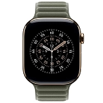 Ремешок Apple Watch 46 мм Magnetic Link Sage Gray - M/L 250_100_694423