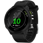Часы Garmin Forerunner 55 Black 250_100_771788