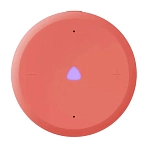 Яндекс Станция Лайт 2 без часов (корраловый) 250_100_686219