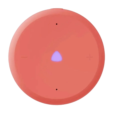 Яндекс Станция Лайт 2 без часов (корраловый) 400_400_686219