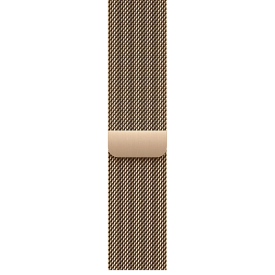 Часы Apple Watch Series 11 46mm Titanium Case Milanese Loop Gold M/L 400_400_640050