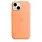 Чехол для iPhone 15 Silicone Case with MagSafe - Orange Sorbet 42_42_221293