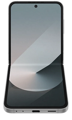Смартфон Samsung Galaxy Z Flip 6 12/256 Silver 400_400_688272