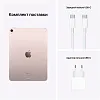 Планшет Apple iPad Air (2022) 10.9" 256GB Wi-Fi Pink 100_100_120676