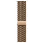 Часы Apple Watch Series 10 46mm Titanium Case Milanese Loop Gold S/M 250_100_639929