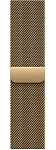 Часы Apple Watch Series 12 42mm Titanium Case Radiant Gold Milanese Loop 250_100_851971