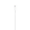 Кабель для Apple USB/Lightning (1м) 100_100_119490