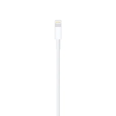 Кабель для Apple USB/Lightning (1м) 400_400_119490