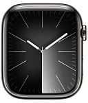 Часы Apple Watch Series 9 45mm Stainless Steel Case Milanese Loop Graphite 250_100_640361