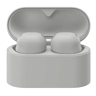Наушники Sony WF-1000XM6 Silver 400_400_723054