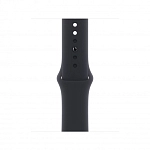 Часы Apple Watch Series 9 45mm Graphite Stainless Steel Case Sport Band Midnight M/L 250_100_640342