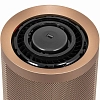 Очиститель воздуха Dyson BP04 Prussian Blue/Gold 100_100_725364
