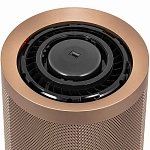 Очиститель воздуха Dyson BP04 Prussian Blue/Gold 250_100_725364