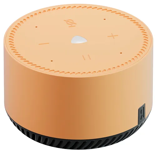 Яндекс Станция Лайт (бежевый капучино) 250_100_128204