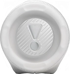 Портативная колонка JBL Charge 6 White 250_100_756403