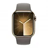 Часы Apple Watch Series 9 45mm Gold Stainless Steel Case Sport Band Clay M/L 100_100_117792