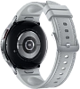Часы Samsung Galaxy Watch 6 Classic 47mm Silver 100_100_641229