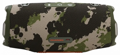 Портативная колонка JBL Charge 6 Camouflage 400_400_590321