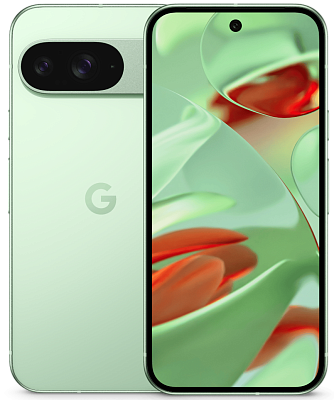 Смартфон Google Pixel 9 12/128GB Wintergreen (JP)