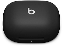 Наушники Beats Powerbeats Pro 2 Jet Black 250_100_864012