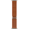 Часы Apple Watch Ultra 3 49mm Titanium Case Natural / Alpine Loop Terra Cotta L 100_100_640993