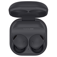 Наушники Samsung Galaxy Buds 2 Pro Graphite 500_191_703913