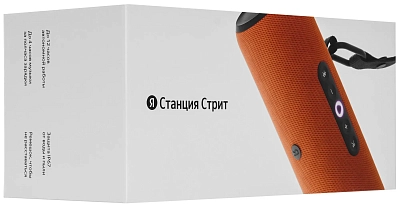 Яндекс Станция Стрит с Алисой (Оранжевый) 400_400_762320