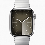 Часы Apple Watch Series 9 45mm Stainless Steel Case Link Bracelet Silver 250_100_640345