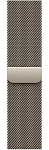 Часы Apple Watch Series 12 46mm Titanium Case Natural Milanese Loop M/L 250_100_851943