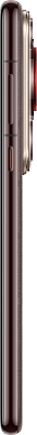 Смартфон Huawei Pura 70 Ultra 16/512GB Brown 400_400_853656