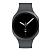 Часы Samsung Galaxy Watch 8 40mm Graphite 100_100_641290